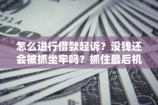 武汉怎么进行借款起诉？没钱还会被抓坐牢吗？抓住最后机会！