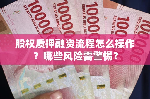 武汉股权质押融资流程怎么操作？哪些风险需警惕？