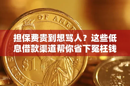 武汉担保费贵到想骂人？这些低息借款渠道帮你省下冤枉钱