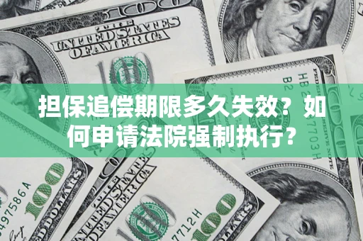 武汉担保追偿期限多久失效？如何申请法院强制执行？