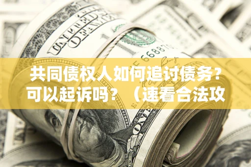 武汉共同债权人如何追讨债务？可以起诉吗？（速看合法攻略）