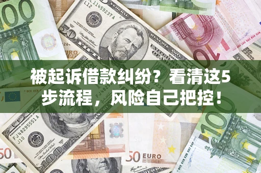 武汉被起诉借款纠纷？看清这5步流程，风险自己把控！