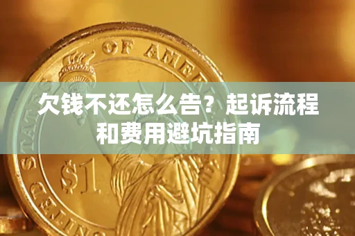 武汉欠钱不还怎么告？起诉流程和费用避坑指南