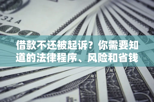 武汉借款不还被起诉？你需要知道的法律程序、风险和省钱技巧